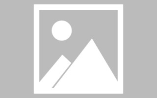 沅江搭建网站招聘信息（网站制作 招聘）